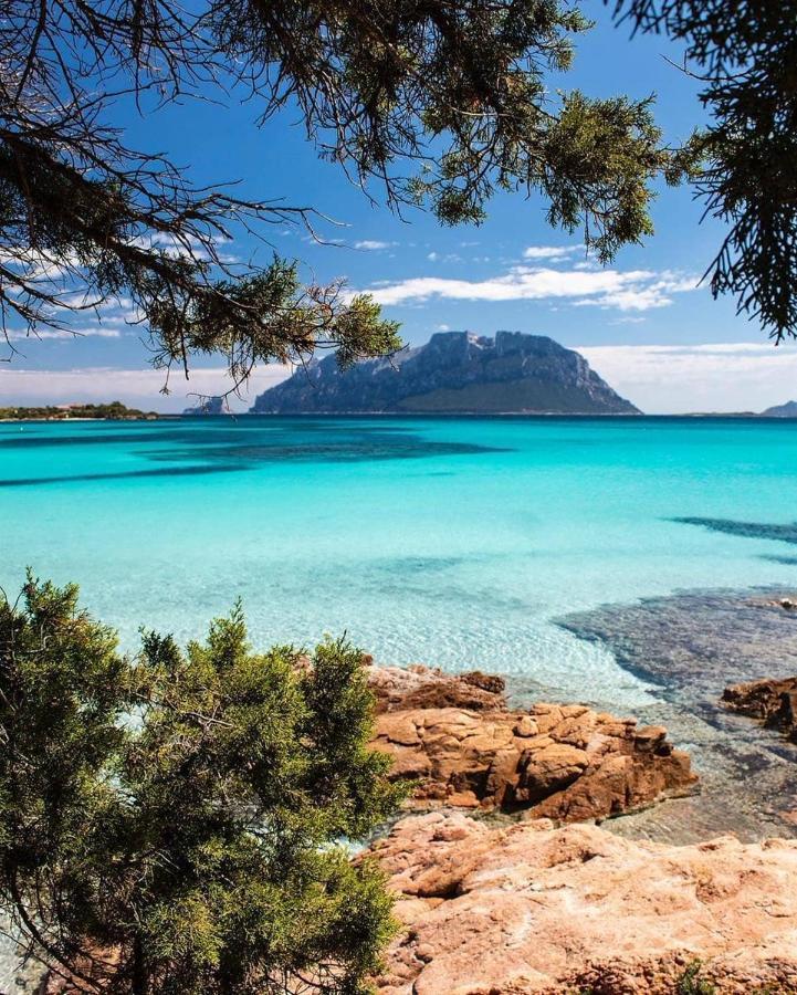 Porto Istana Beach House Olbia Exteriér fotografie